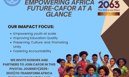 Digital Schools Initiative